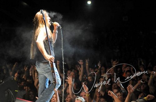 Jackyl live concert photo by Wayne Dennon