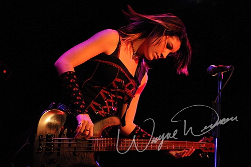 Sick Puppies by Wayne Dennon