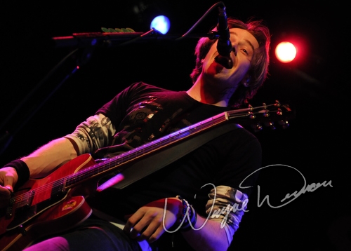 Sick Puppies by Wayne Dennon