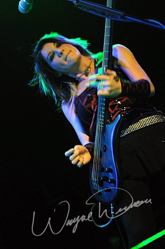 Sick Puppies by Wayne Dennon