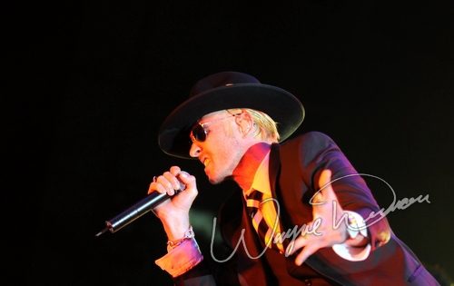 Stone Temple Pilots concert photo by Wayne Dennon