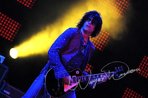 Stone Temple Pilots concert photo by Wayne Dennon