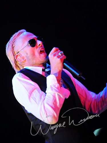 Stone Temple Pilots concert photo by Wayne Dennon