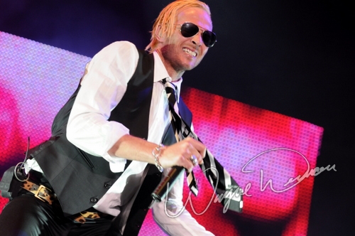 Stone Temple Pilots by Wayne Dennon