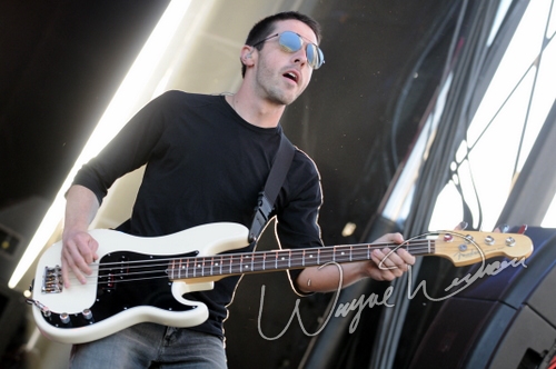 Filter by Wayne Dennon