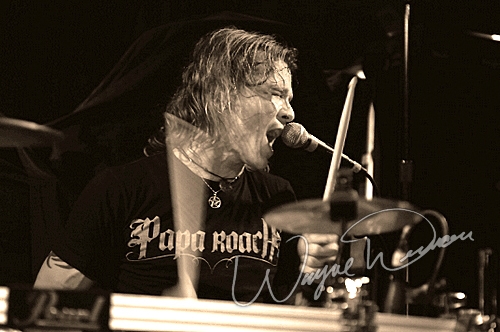 12 Stones by Wayne Dennon