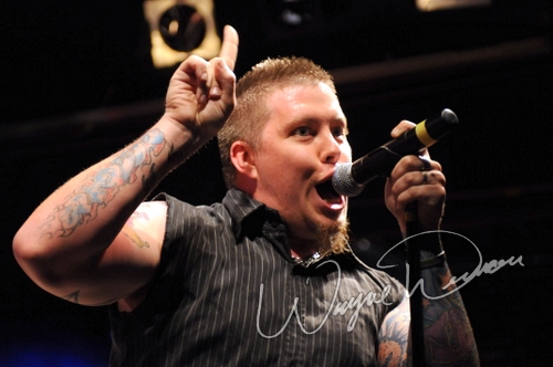 12 Stones by Wayne Dennon