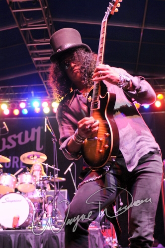 McQueen by Wayne Dennon