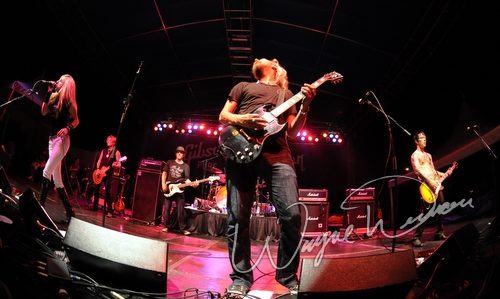 Gibson Rock Star Jam live concert photo by Wayne Dennon