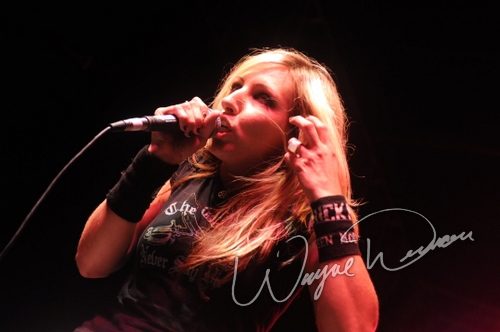 Gibson Rock Star Jam live concert photo by Wayne Dennon