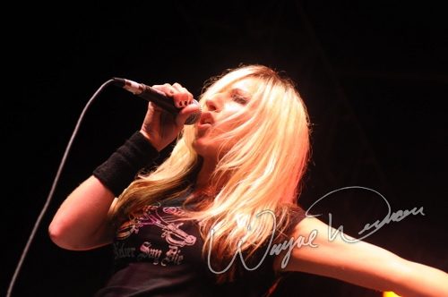 Gibson Rock Star Jam live concert photo by Wayne Dennon