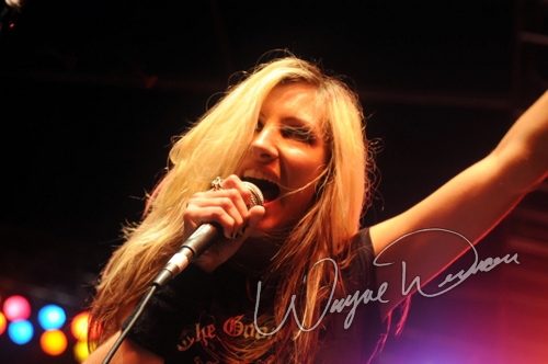 Gibson Rock Star Jam live concert photo by Wayne Dennon