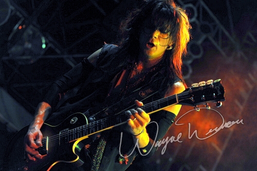 Alice Cooper by Wayne Dennon