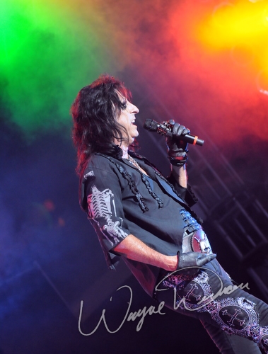 Alice Cooper by Wayne Dennon
