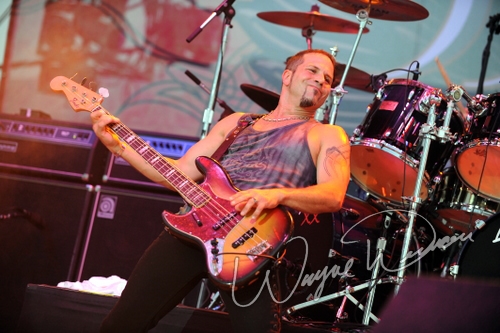 Lita Ford by Wayne Dennon