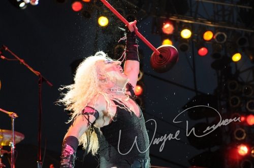 Twisted Sister live concert photo by Wayne Dennon