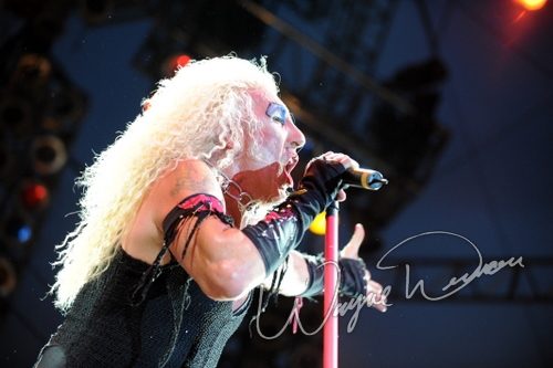 Twisted Sister live concert photo by Wayne Dennon
