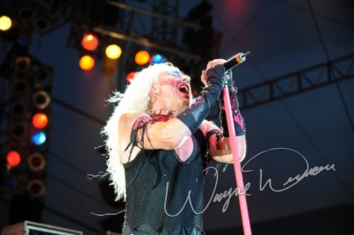 Twisted Sister live concert photo by Wayne Dennon