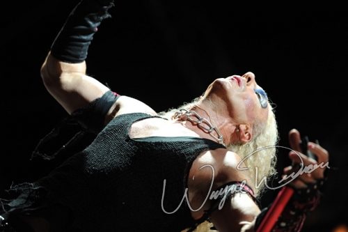Twisted Sister live concert photo by Wayne Dennon