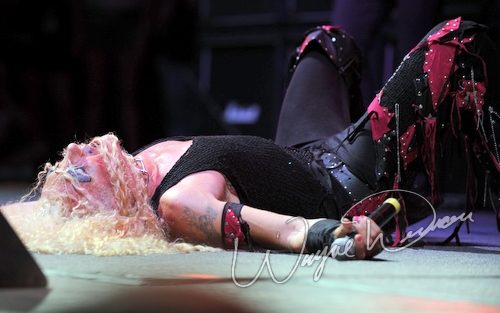 Twisted Sister live concert photo by Wayne Dennon