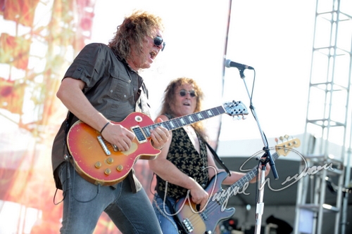 Y & T by Wayne Dennon