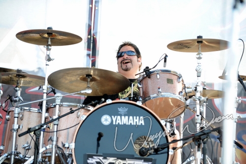 Y & T by Wayne Dennon