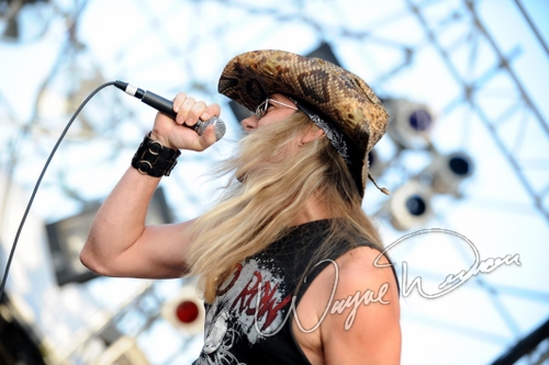 Skid Row by Wayne Dennon