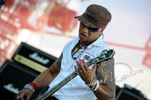 Slaughter by Wayne Dennon