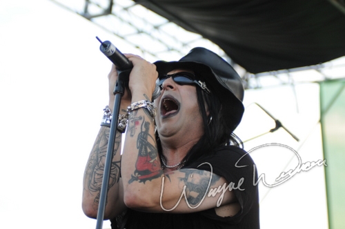 Faster Pussycat by Wayne Dennon