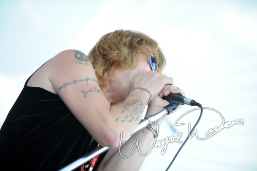 Enuff Z nuff by Wayne Dennon