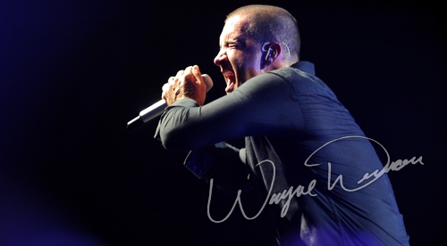 Creed by Wayne Dennon