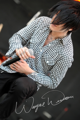 Framing Hanley by Wayne Dennon