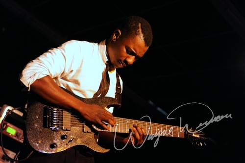 Animals As Leaders by Wayne Dennon