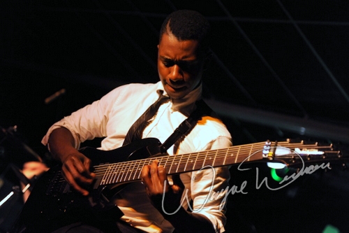 Animals As Leaders by Wayne Dennon