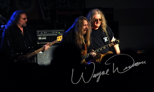 Kentucky Headhunters by Wayne Dennon
