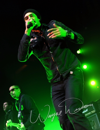 Michael Franti and Spearhead by Wayne Dennon