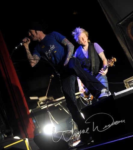 Sore Eyes by Wayne Dennon