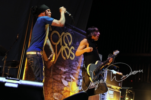 Sore Eyes by Wayne Dennon