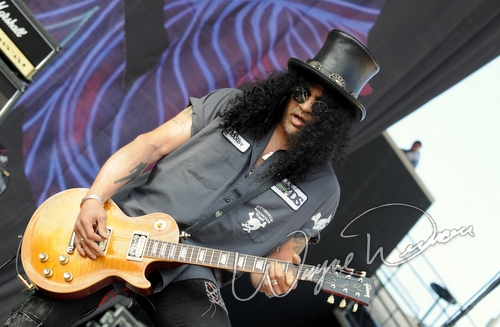 Slash by Wayne Dennon