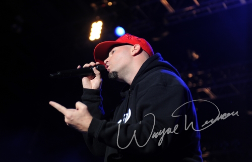 Limp Bizkit by Wayne Dennon