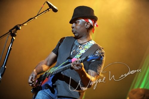 Living Colour by Wayne Dennon