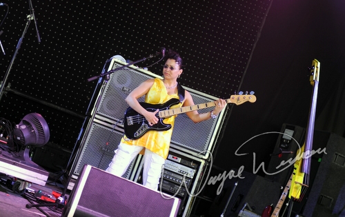 Jeff Beck by Wayne Dennon