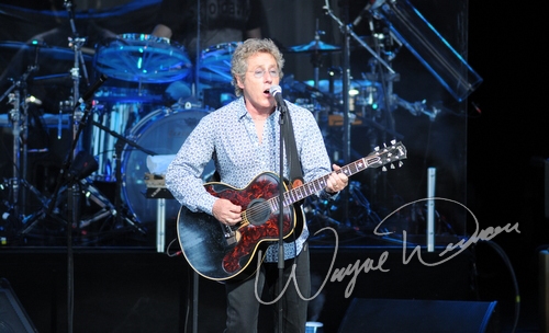 Roger Daltry by Wayne Dennon