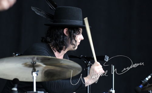 The Dead Weather by Wayne Dennon