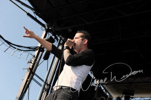 Brookroyal concert photo by Wayne Dennon