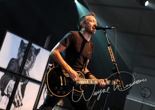 Rise Against by Wayne Dennon