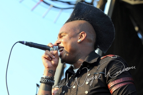 The Veer Union by Wayne Dennon