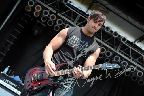 Within Reason by Wayne Dennon