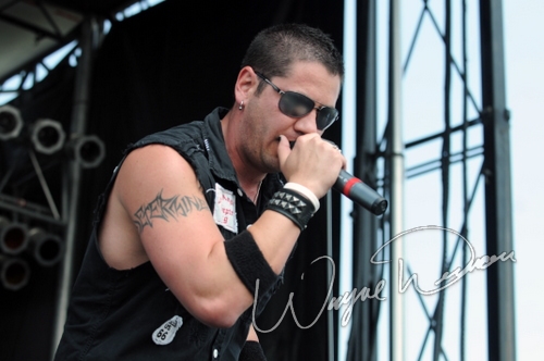 Within Reason by Wayne Dennon