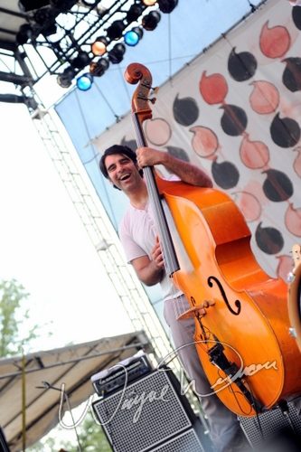 The Avett Brothers concert photo by Wayne Dennon